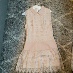 BCBG Maxazria Blush Lace Dress